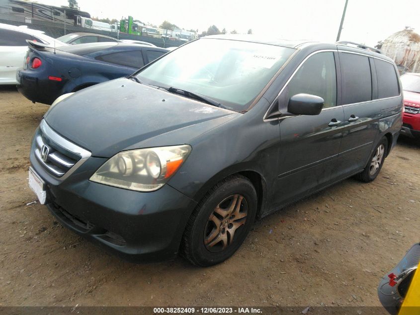 2005 Honda Odyssey Ex-L VIN: 5FNRL38735B130381 Lot: 38252409