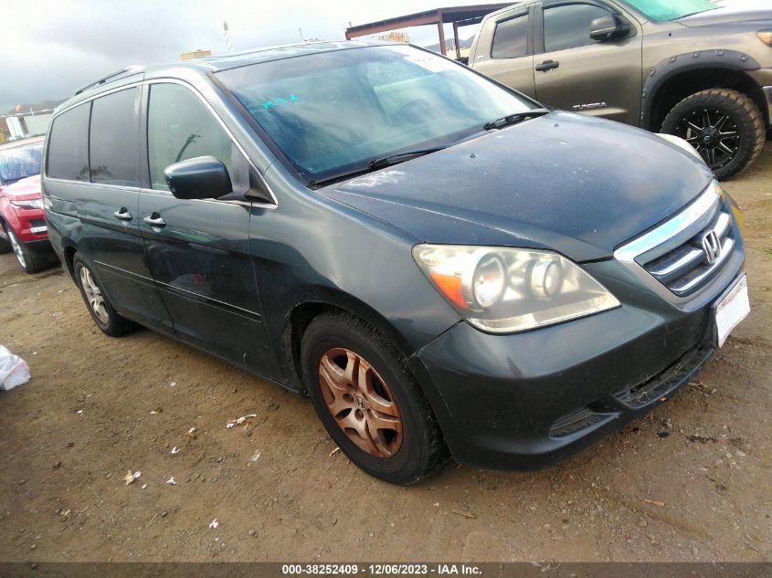 2005 Honda Odyssey Ex-L VIN: 5FNRL38735B130381 Lot: 38252409