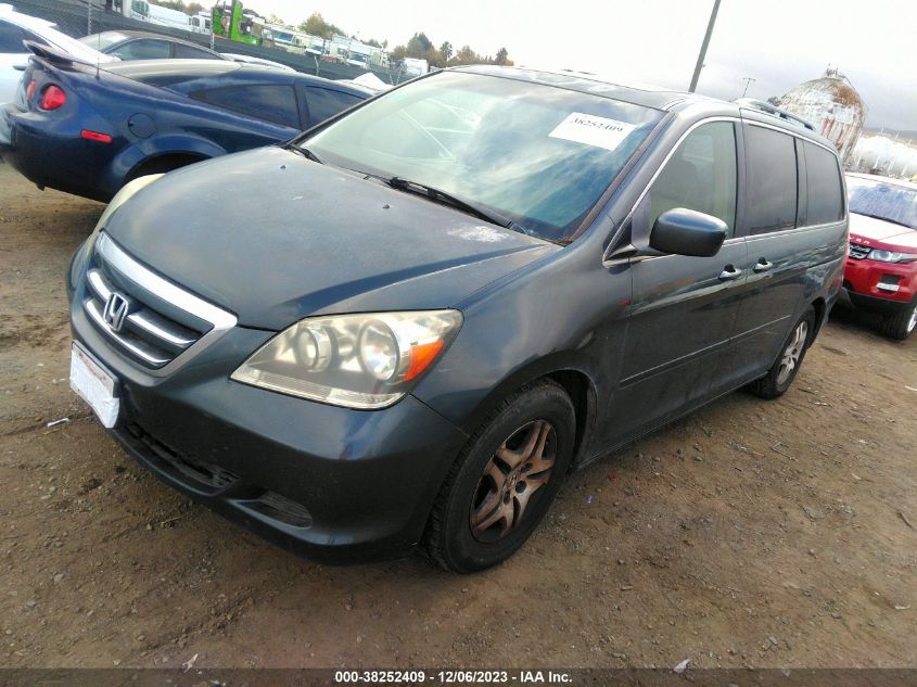 2005 Honda Odyssey Ex-L VIN: 5FNRL38735B130381 Lot: 38252409