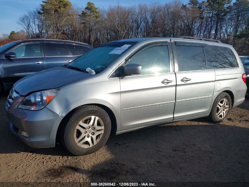 2007 Honda Odyssey Ex-L VIN: 5FNRL38717B028922 Lot: 39439520