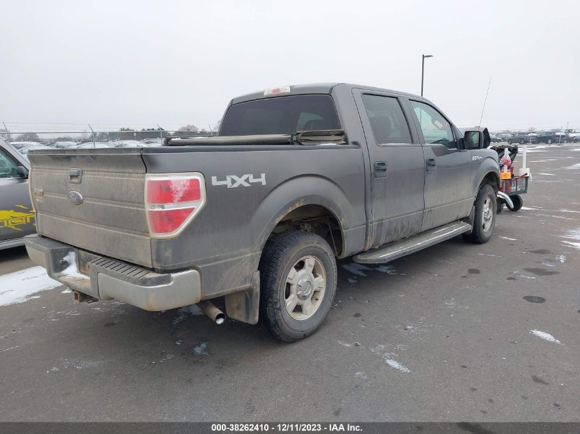 2009 Ford F-150 Xlt VIN: 1FTPW14V19KC72955 Lot: 38262410