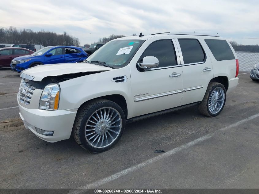 2011 Cadillac Escalade Premium VIN: 1GYS4CEF7BR118700 Lot: 38268740