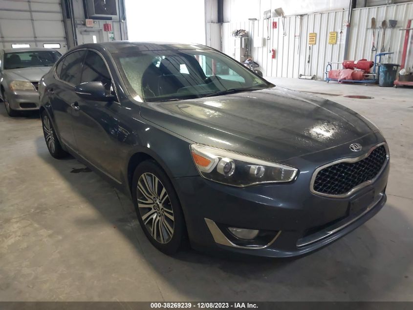 2014 Kia Cadenza Premium VIN: KNALN4D73E5156540 Lot: 38269239