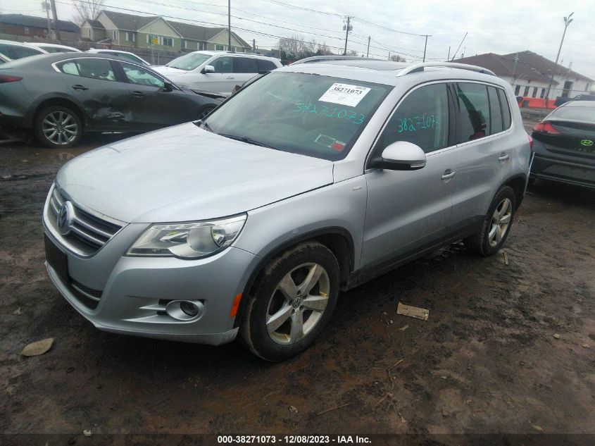 2010 Volkswagen Tiguan Wolfsburg Edition VIN: WVGBV7AX2AW532875 Lot: 38271073