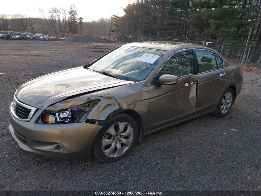 2010 Honda Accord 3.5 Ex-L VIN: 1HGCP3F84AA017713 Lot: 38274659