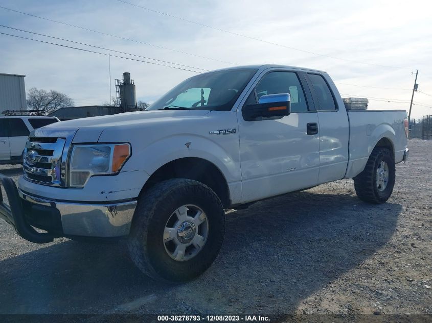 2010 Ford F-150 Fx4/Lariat/Xl/Xlt VIN: 1FTFX1EV2AFD83681 Lot: 40349080