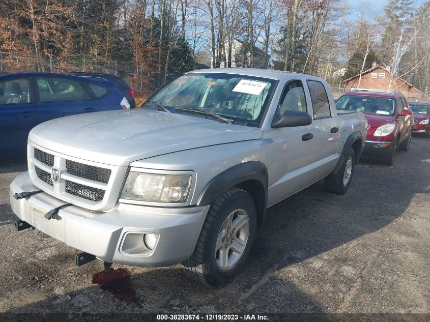 2011 Ram Dakota Bighorn/Lonestar VIN: 1D7RW3GK0BS679487 Lot: 38283674