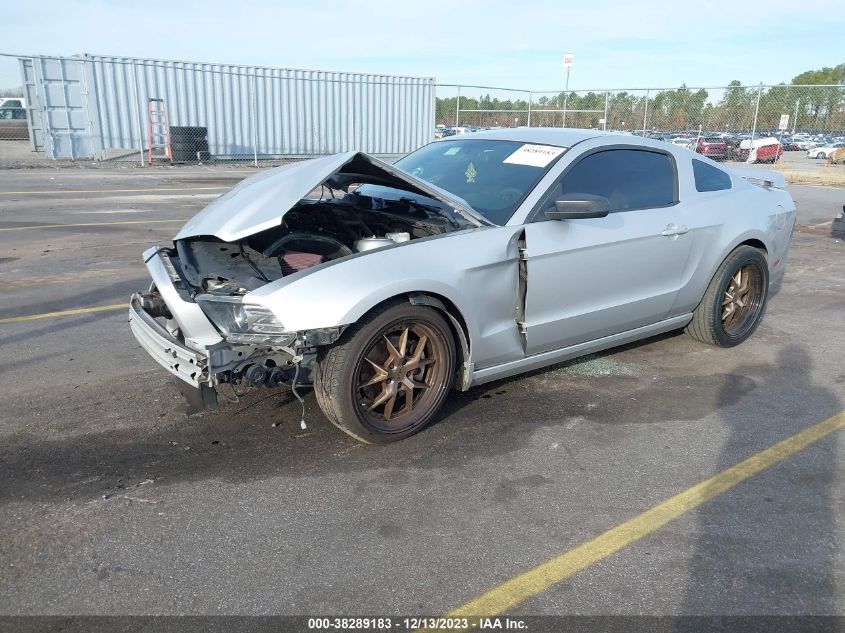 2013 Ford Mustang V6 VIN: 1ZVBP8AM0D5208695 Lot: 38289183