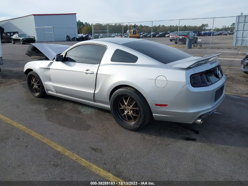 2013 Ford Mustang V6 VIN: 1ZVBP8AM0D5208695 Lot: 38289183