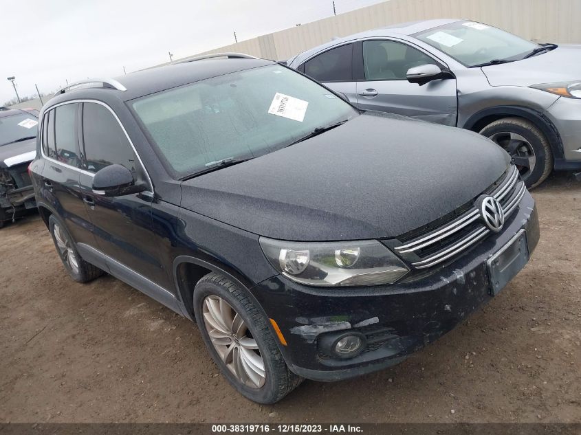 2013 Volkswagen Tiguan Se VIN: WVGAV3AX1DW613391 Lot: 38319716