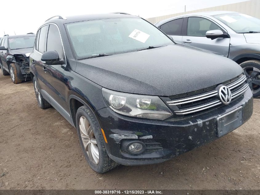 2013 Volkswagen Tiguan Se VIN: WVGAV3AX1DW613391 Lot: 38319716