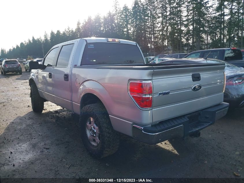 2009 Ford F-150 Xlt VIN: 1FTPW12V39KC71731 Lot: 38331348