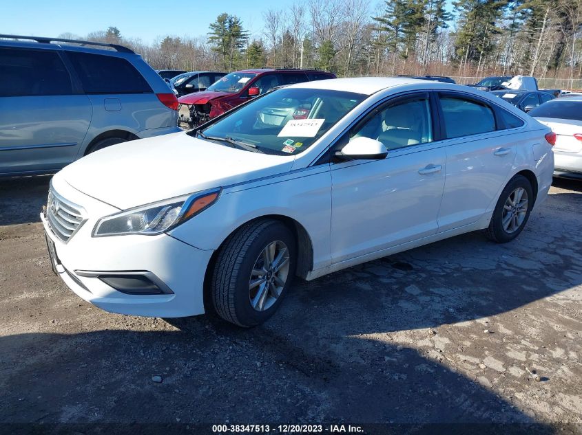 2017 Hyundai Sonata VIN: 5NPE24AF5HH549038 Lot: 38347513