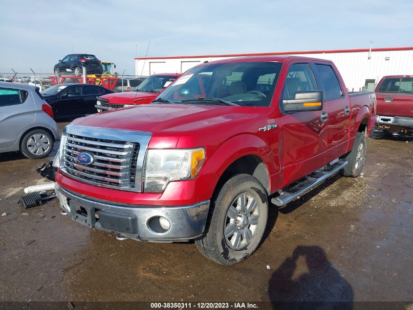 2011 Ford F-150 Xlt VIN: 1FTFW1EFXBKD20137 Lot: 38350311