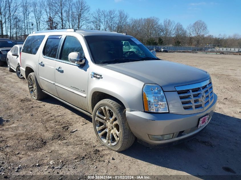 1GYFK66848R151901 2008 Cadillac Escalade Esv Standard