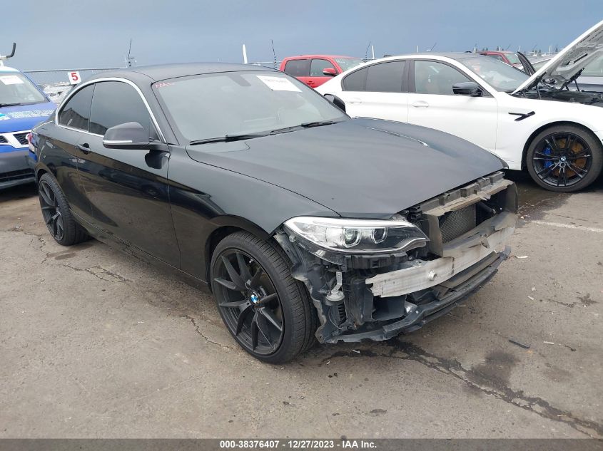 2016 BMW 228I VIN: WBA1F9C50GV544944 Lot: 38376407