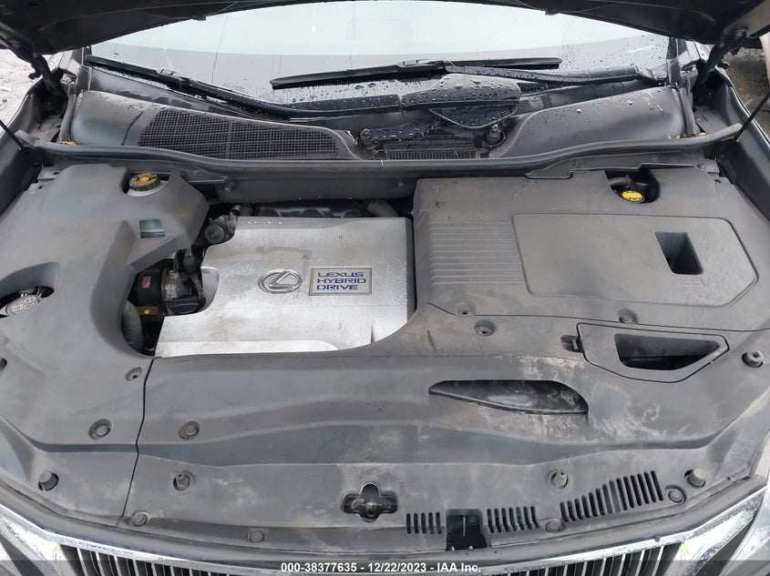 2010 LEXUS RX 450H VIN: JTJBC1BA6A2019358