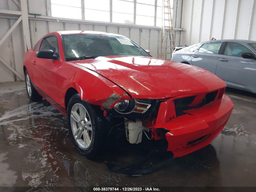 2011 Ford Mustang V6 VIN: 1ZVBP8AM9B5125988 Lot: 38379744