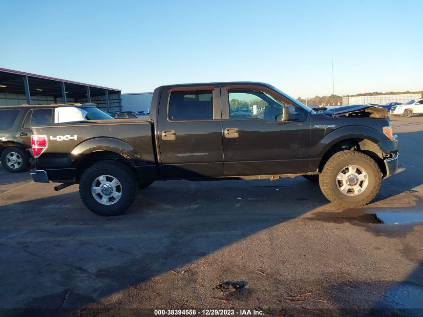 2014 Ford F-150 Xlt VIN: 1FTFW1EF9EFA18013 Lot: 38394558