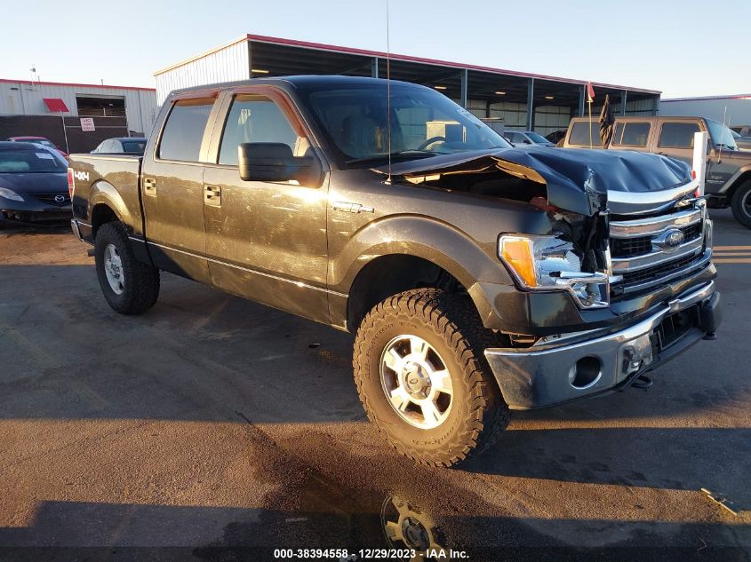 2014 Ford F-150 Xlt VIN: 1FTFW1EF9EFA18013 Lot: 38394558