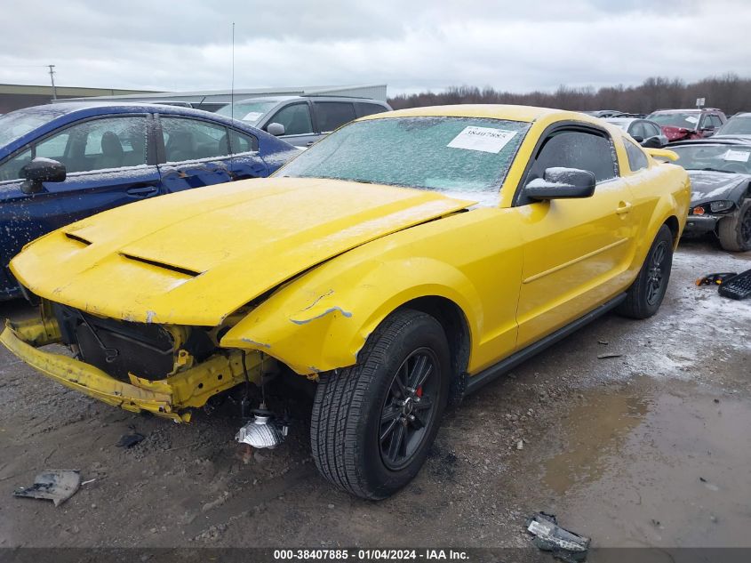 2006 Ford Mustang V6 VIN: 1ZVFT80N965188845 Lot: 38407885