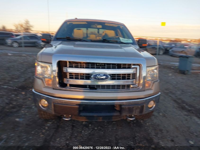 2013 Ford F-150 Xlt VIN: 1FTFW1EF4DKD43125 Lot: 38420076