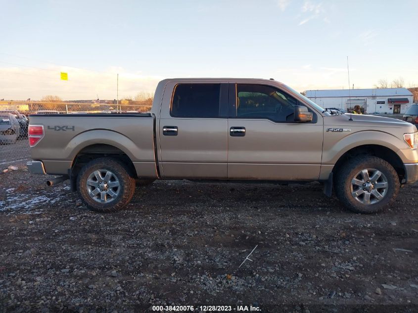 2013 Ford F-150 Xlt VIN: 1FTFW1EF4DKD43125 Lot: 38420076