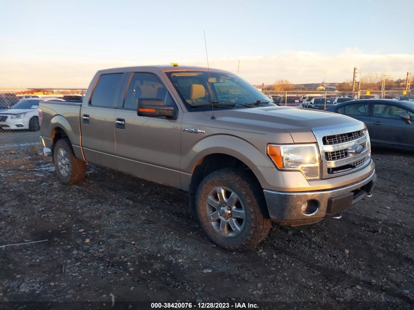 2013 Ford F-150 Xlt VIN: 1FTFW1EF4DKD43125 Lot: 38420076