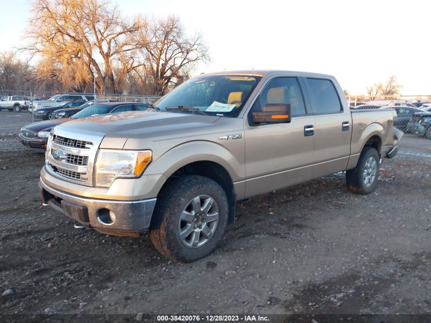 2013 Ford F-150 Xlt VIN: 1FTFW1EF4DKD43125 Lot: 38420076