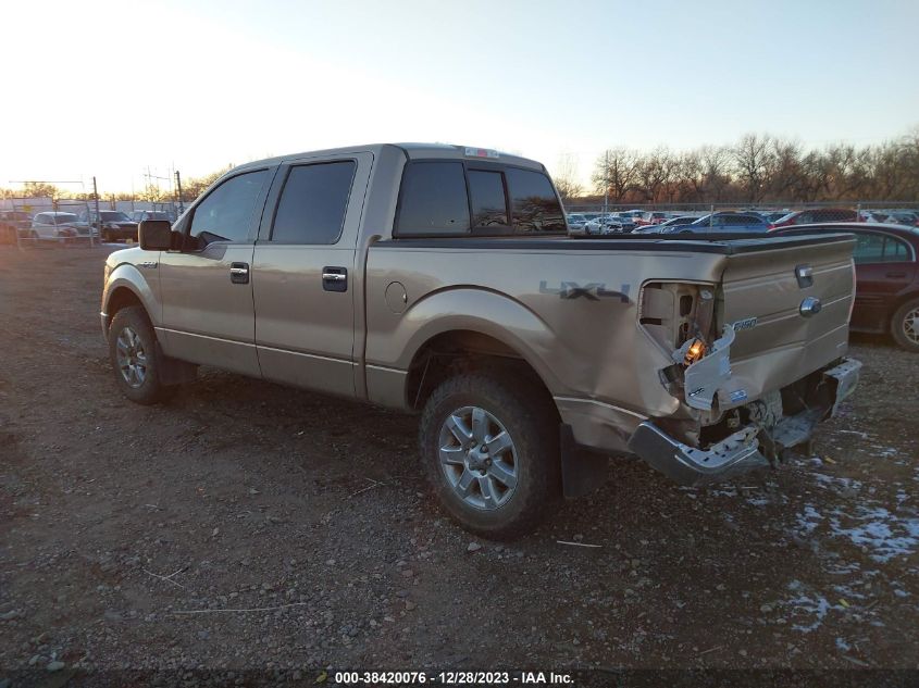 2013 Ford F-150 Xlt VIN: 1FTFW1EF4DKD43125 Lot: 38420076