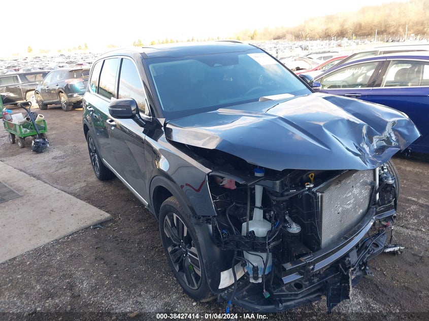 2023 Kia Telluride Sx VIN: 5XYP5DGC2PG399618 Lot: 38427414