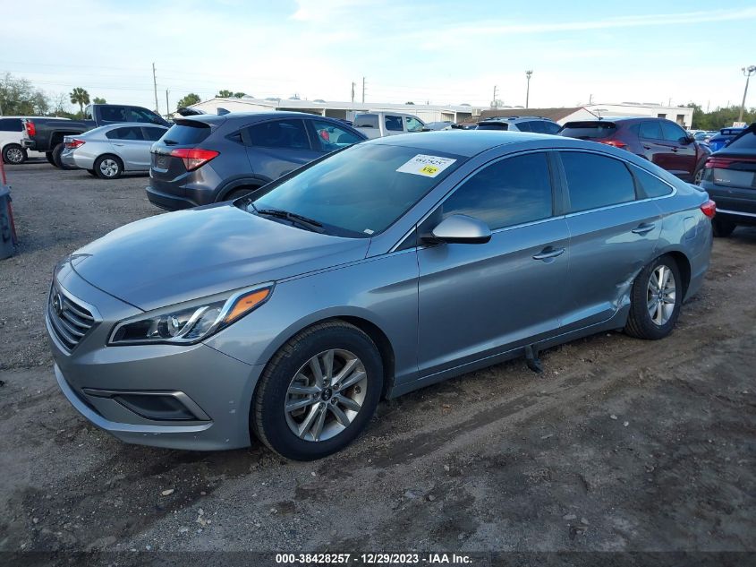 2016 Hyundai Sonata VIN: 5NPE24AF7GH410091 Lot: 38428257