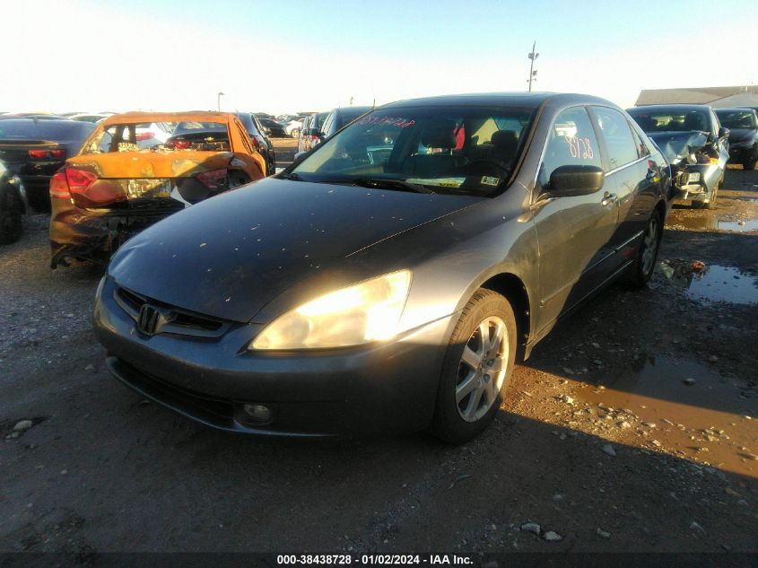 2005 Honda Accord 3.0 Ex VIN: 1HGCM66595A021584 Lot: 38438728