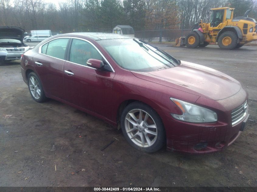 1N4AA5AP2BC800381 2011 Nissan Maxima 3.5 Sv