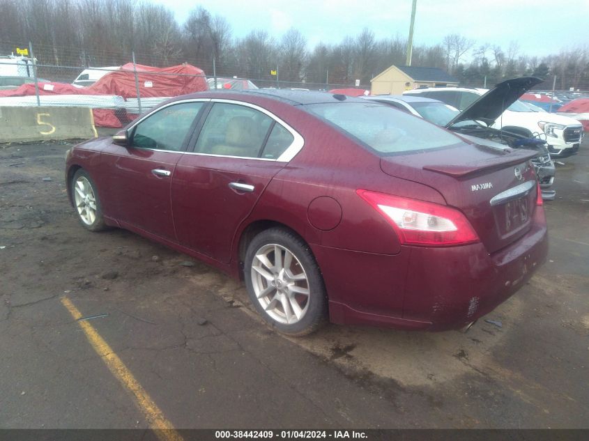 1N4AA5AP2BC800381 2011 Nissan Maxima 3.5 Sv