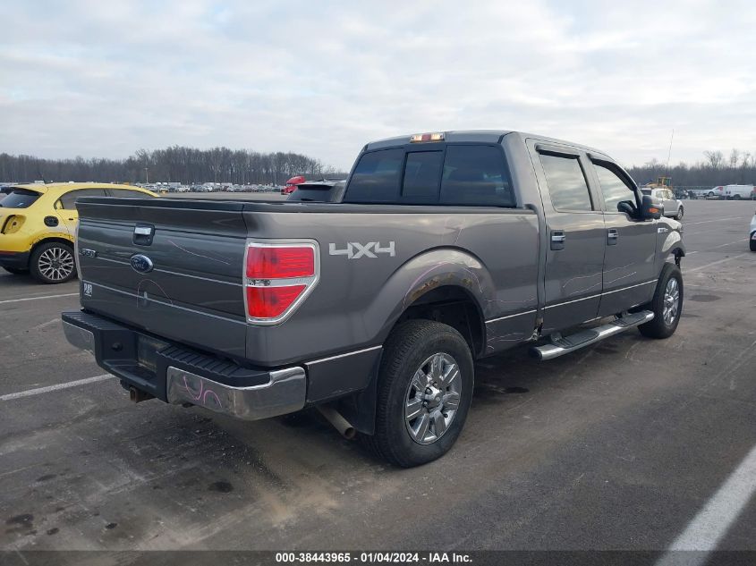 2009 Ford F-150 Fx4/Lariat/Xl/Xlt VIN: 1FTPX14V99FA36737 Lot: 38443965