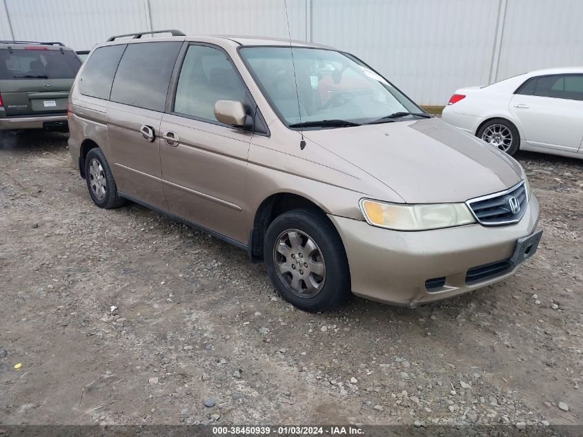 2004 Honda Odyssey Ex-L VIN: 5FNRL18994B059420 Lot: 40247874