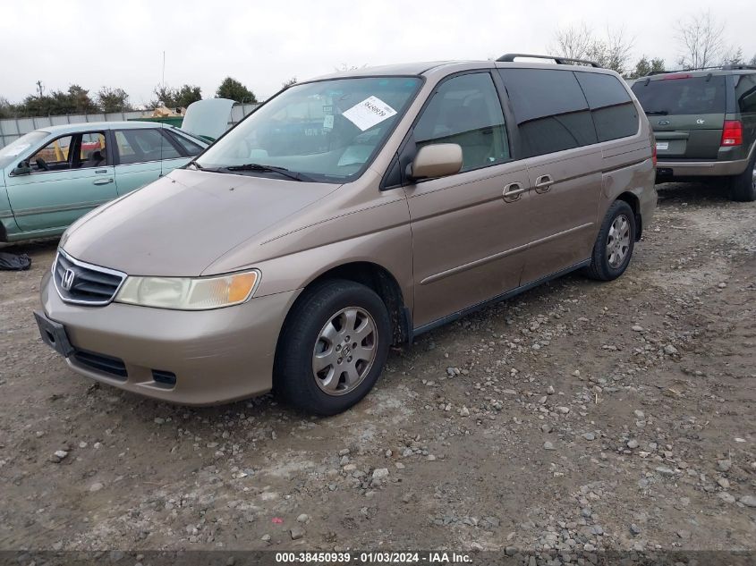 2004 Honda Odyssey Ex-L VIN: 5FNRL18994B059420 Lot: 40247874