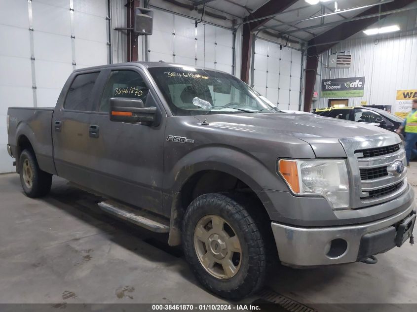 2014 Ford F-150 Xlt VIN: 1FTFW1EF3EKE03333 Lot: 38461870