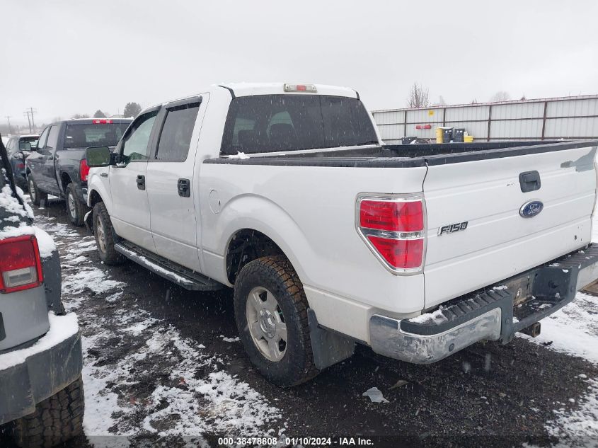 2009 Ford F-150 Xlt VIN: 1FTPW14V99KC08386 Lot: 38478808