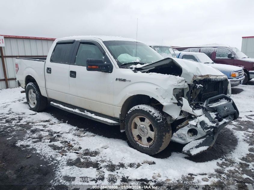 2009 Ford F-150 Xlt VIN: 1FTPW14V99KC08386 Lot: 38478808