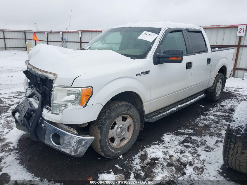 2009 Ford F-150 Xlt VIN: 1FTPW14V99KC08386 Lot: 38478808