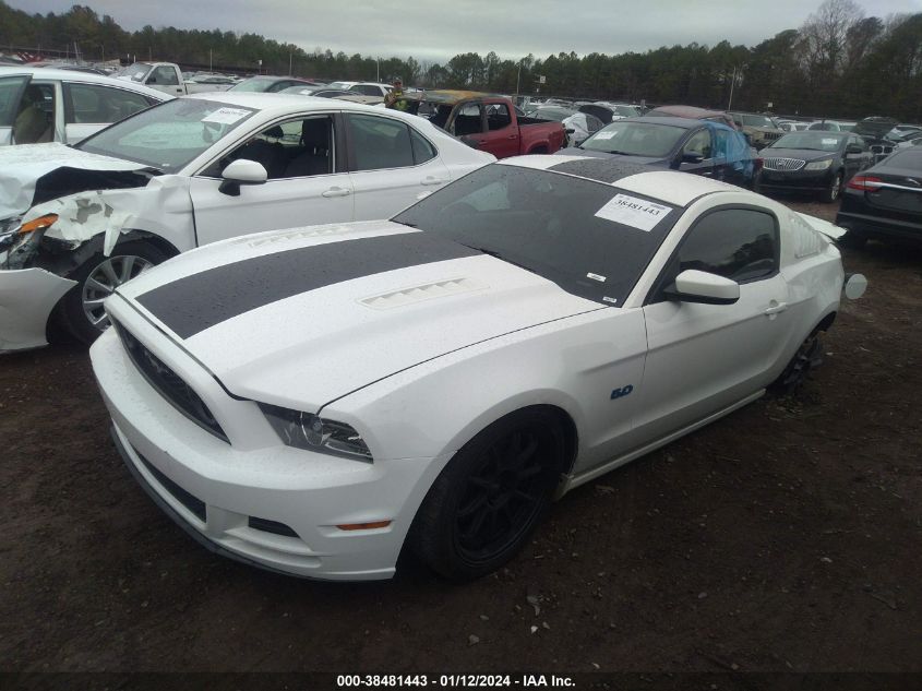 1ZVBP8CF6D5202236 2013 Ford Mustang Gt Premium