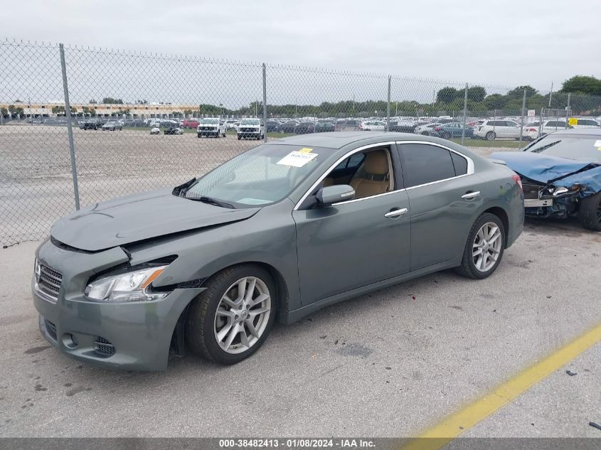 2010 Nissan Maxima 3.5 Sv VIN: 1N4AA5AP8AC861684 Lot: 38482413