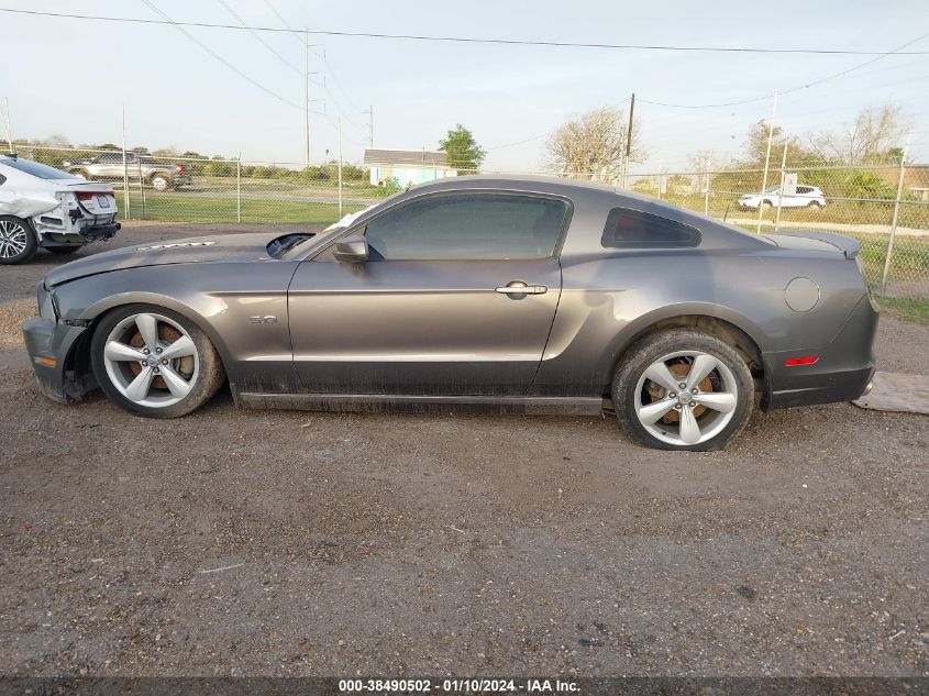 2014 Ford Mustang Gt VIN: 1ZVBP8CF2E5316025 Lot: 38490502