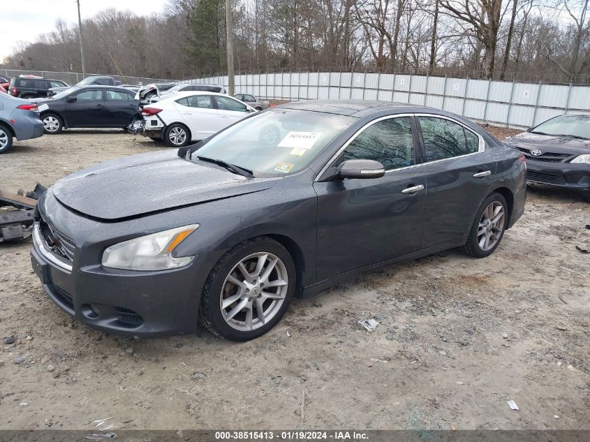 1N4AA5AP7BC811375 2011 Nissan Maxima 3.5 Sv