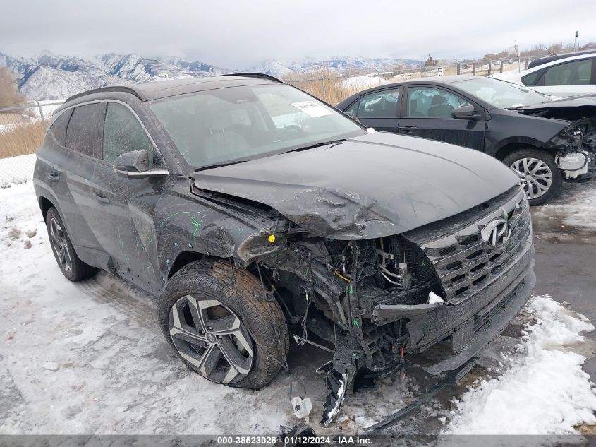 2024 Hyundai Tucson Limited VIN: 5NMJECDE5RH310400 Lot: 38523028