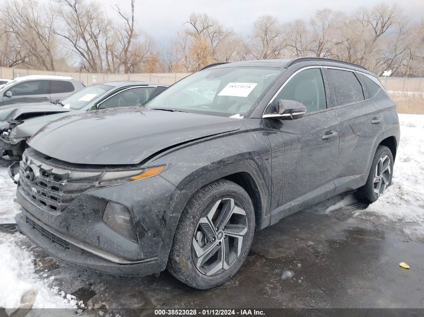 2024 Hyundai Tucson Limited VIN: 5NMJECDE5RH310400 Lot: 38523028