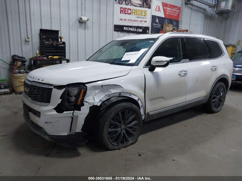 2022 Kia Telluride Sx VIN: 5XYP5DHC8NG210384 Lot: 38531685