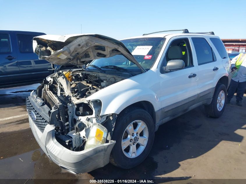 2007 Ford Escape Xlt/Xlt Sport VIN: 1FMYU03167KB25641 Lot: 38538225